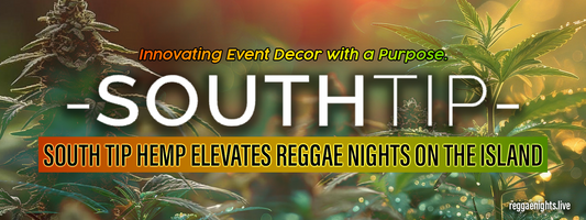 PART 3: South Tip Hemp Elevates Reggae Nights on the Island