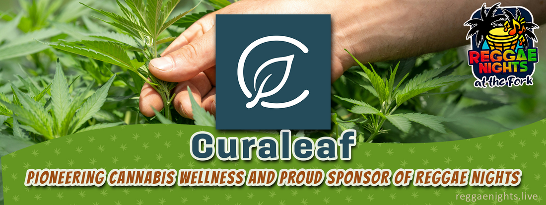 Curaleaf: Pioneering Cannabis Wellness and Proud Sponsor of Reggae Nights